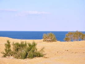 The Aral Sea