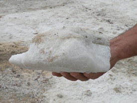 Salt of the Aral Sea