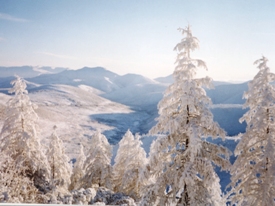 Winter in Siberia