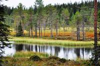 Finland, Oulanka National Park