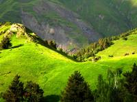 Tusheti