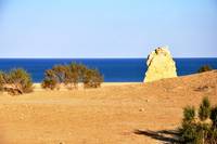 the Aral sea