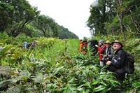 in the Kuril Nature park