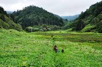 in the Kuril Nature Park