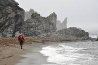 Walking along the shore